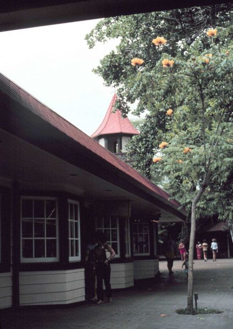 A scene in the town of Kona Picture