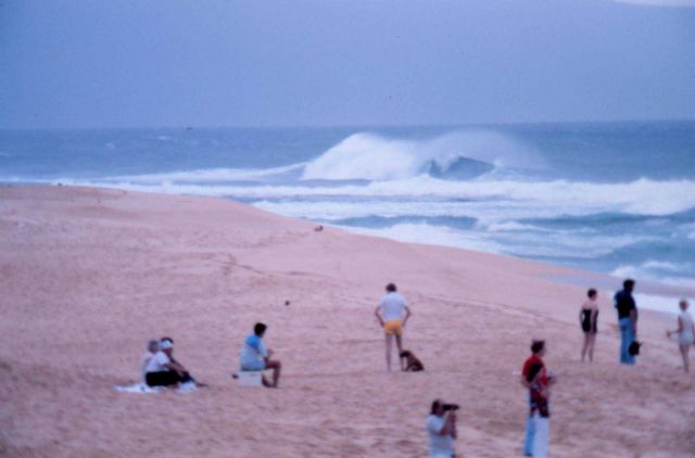 Large surf breaking on the North Shore of Oahu Picture