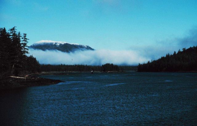 Wrangell Narrows Picture