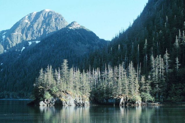 Prince William Sound Picture