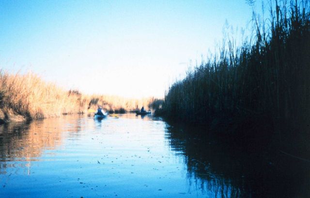 Kayakers observing the marsh flora and fauna on a fall afternoon. Picture