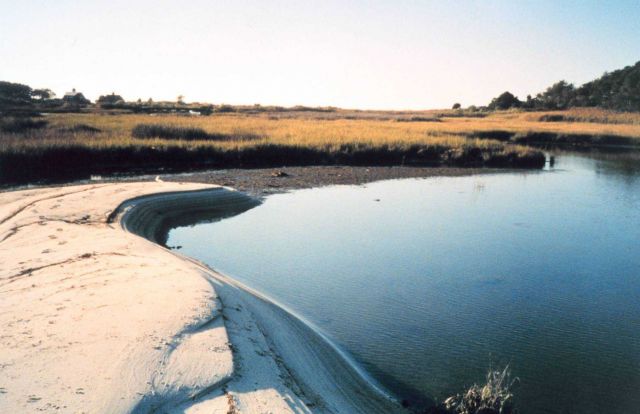 A sand bar in the marsh at Port Isobel. Picture
