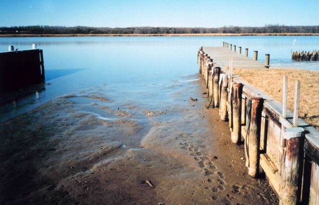 A winter extreme low tide Picture