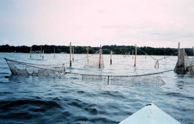 An abandoned pound net Picture