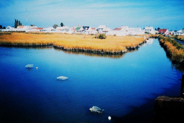 Crab pots in a channel Picture