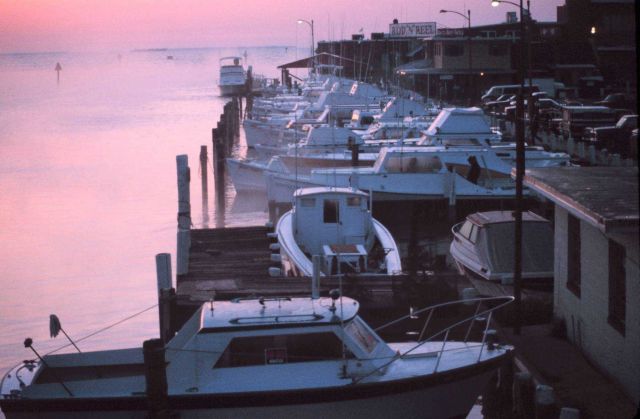 Dawn at Fishing Creek looking out towards the Chesapeake Bay Picture