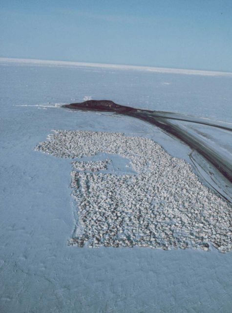 Building an artificial island in the Beaufort Sea. Picture