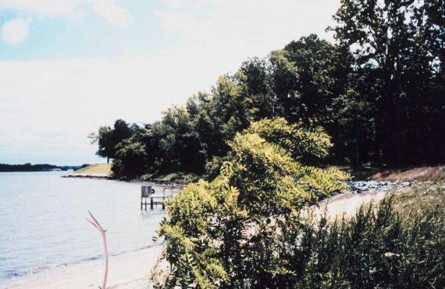 The shoreline at the University of Maryland Horn Point Laboratory is a combination of sandy beach and rock revetment. Picture