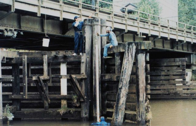 The tide staff at Skamokawa - a ghost town on the Lower Columbia River Picture
