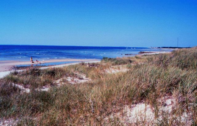 Buzzards Bay - Falmouth Picture
