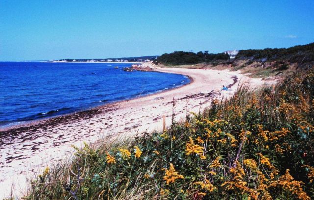 Buzzards Bay, Woods Hole Picture