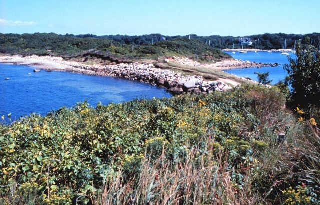 The Knob, Woods Hole Picture