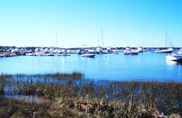 Red Brook Harbor Bourne Picture