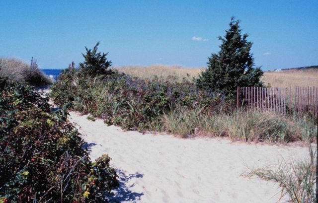 Beach on Buzzards Bay, West Falmouth Picture