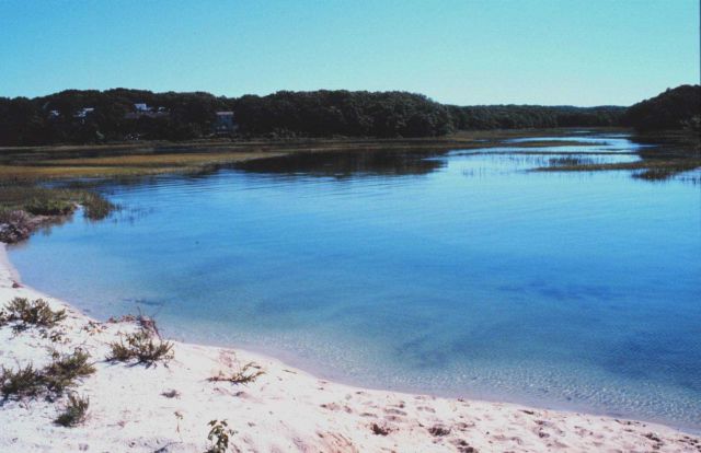 Great Sippewissett Marsh, West Falmouth Picture