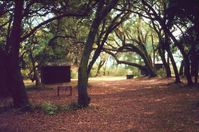 The campground at Cabretta. Picture