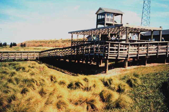 Hart-Miller Island, once two islands that nearly eroded into extinction, are now one Picture
