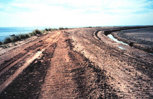 Hart-Miller Island, once two islands that nearly eroded into extinction, are now one Picture