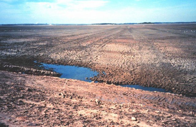 Hart-Miller Island, once two islands that nearly eroded into extinction, are now one Picture