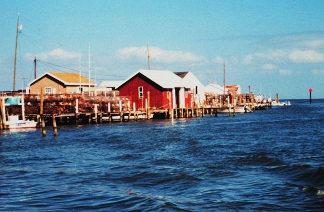 Crab pots stacked up along the docks at Tangier Island. Picture