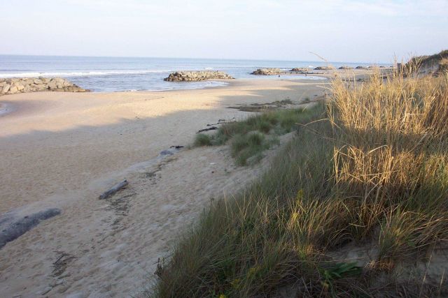Rock barriers in the surf while erosion barriers are seen at the base of the dunes Picture