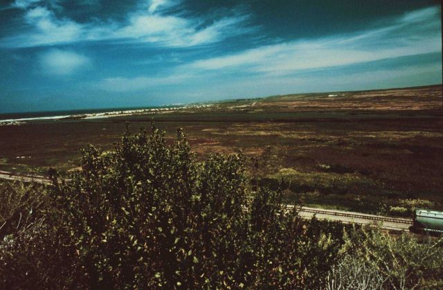 Looking over coastal wetlands towards a strand of beach near Vandenburg AFB Picture