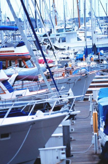 The harbor at Santa Barbara Picture