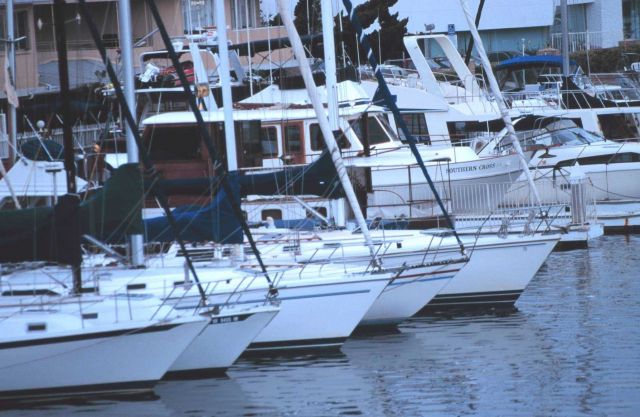 The harbor at Santa Barbara Picture