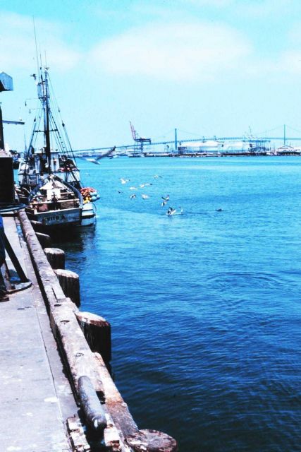 The Fishing Vessel VITO unloads anchovy at Fishermen's Terminal Picture