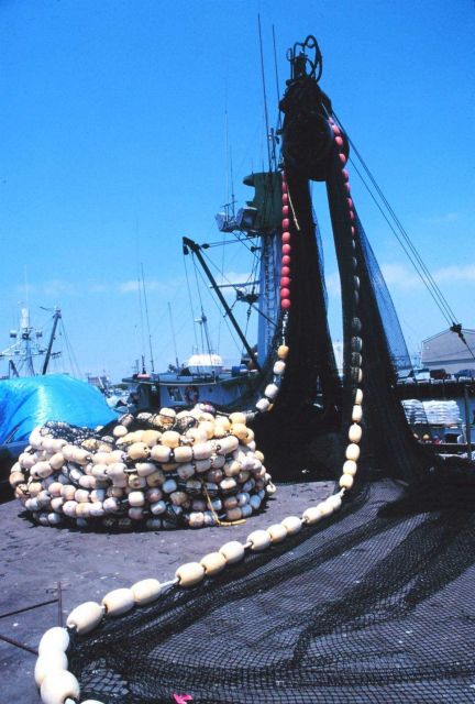 The paraphernalia of fishing on the pier - mountains of nets, floats, etc. Picture