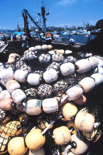 The paraphernalia of fishing on the pier - mountains of nets, floats, etc. Picture