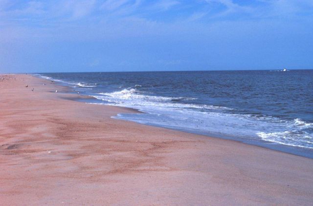 Looking north at Delaware Seashore State Park Picture