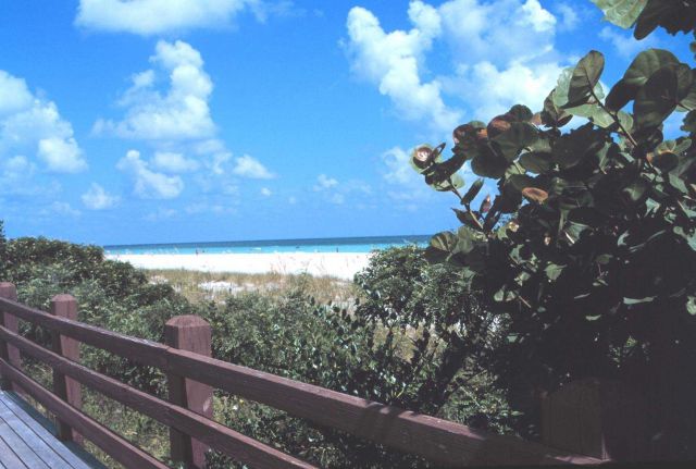 A view of the beach along the Atlantic Ocean Picture