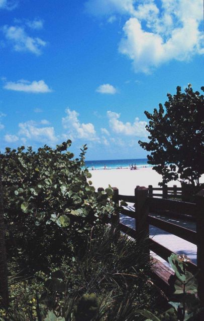A view of the beach along the Atlantic Ocean Picture