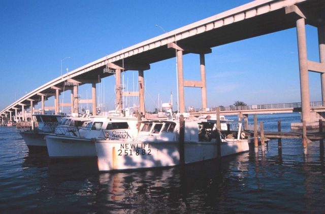 Shrimp trawlers at Snug Harbor along the Caloosahatchee River Picture