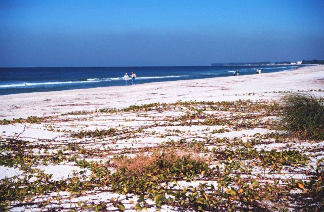 A view of the beach along the Gulf of Mexico Picture