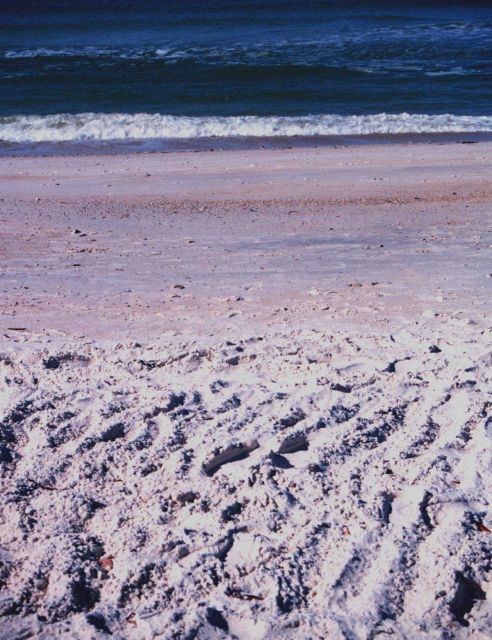 A view of the beach along the Gulf of Mexico Picture