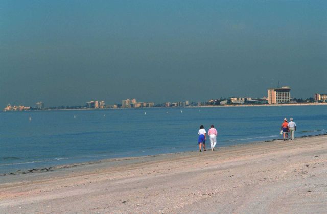 Strolling along the beach looking for the random treasure Picture