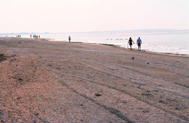 Strolling along the beach looking for the random treasure Picture