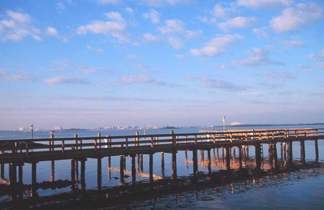 Clearwater, Florida, seen in the distance from a fishing marina Picture