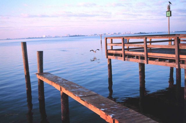 Clearwater, Florida, seen in the distance from a fishing marina Picture
