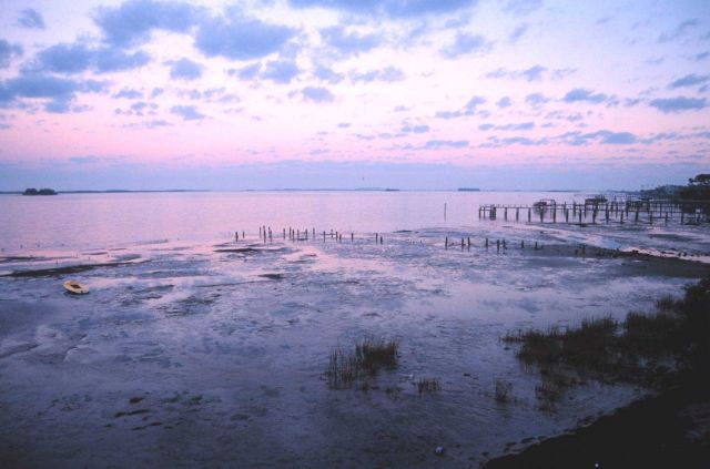 Tidal flats exposed by an early morning low tide Picture