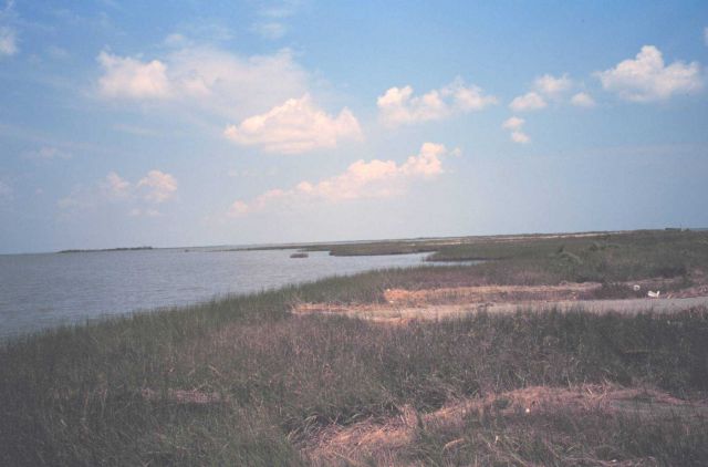 Broken marsh in Barataria Basin just west of the levee Picture