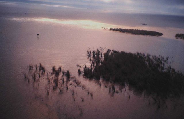 Boomed marshes containing oil spill Picture