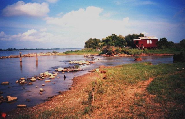 Mississippi River levee with river water coming through and flowing to a marsh east of the river Picture
