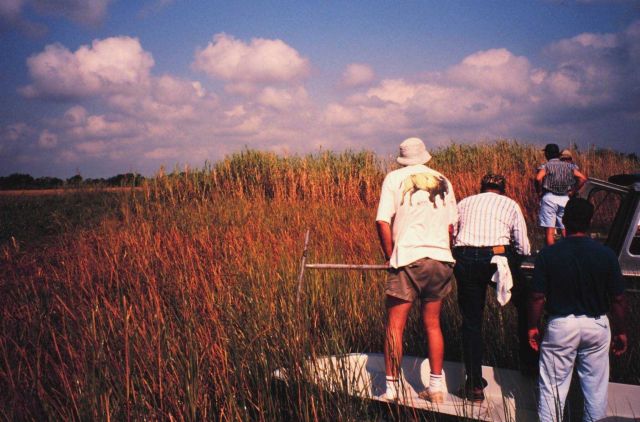 Wetland scientists evaluating potential marsh restoration project. Picture