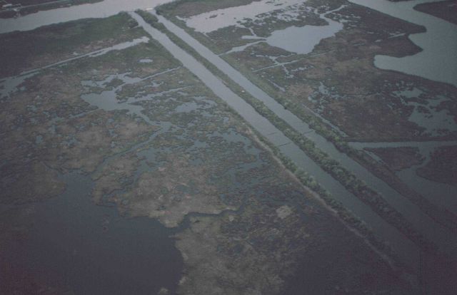 Subsiding marsh and man-made canals south of New Orleans Picture