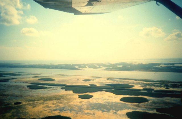 Aerial view of Mississippi Delta wetlands adjacent to Pass a Loutre Picture