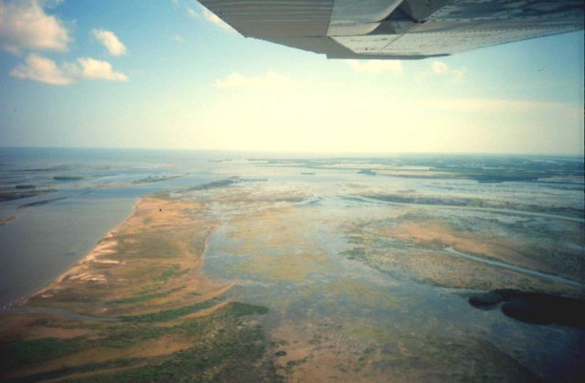 Aerial view of Mississippi Delta wetlands adjacent to Pass a Loutre Picture