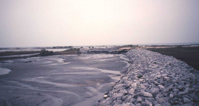 The Greenhill/East Timbalier dredged material -- new land created to left of rock levee. Picture